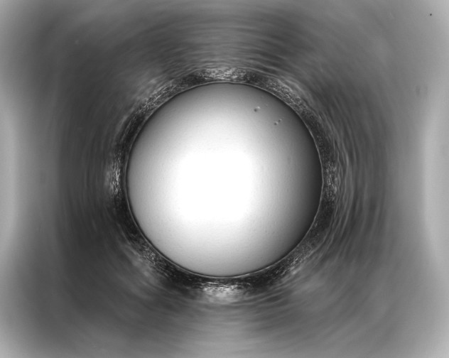 X0000086950602200704301219