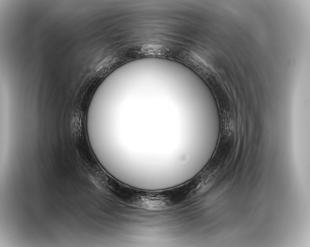 X0000086950603200704301219