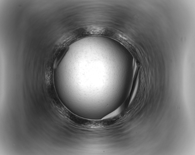 X0000086950604200704301219