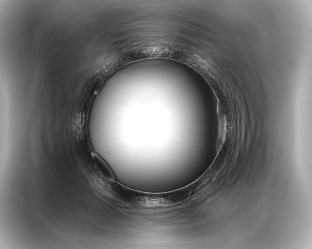 X0000086950605200704301219