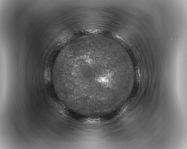 X0000086950606200704301219