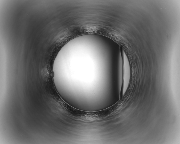 X0000086950608200704301219