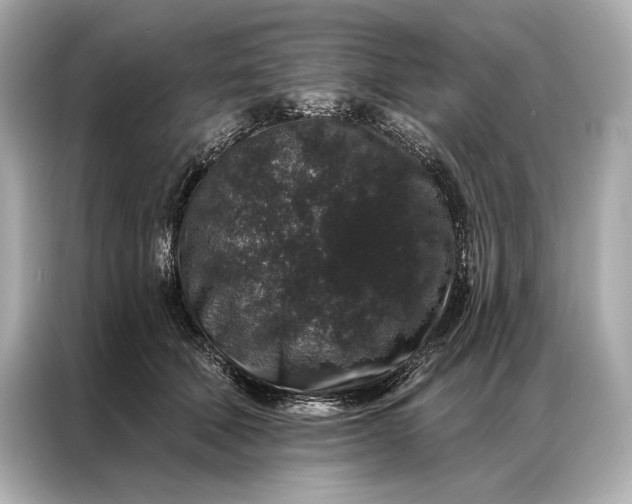 X0000086950610200704301219