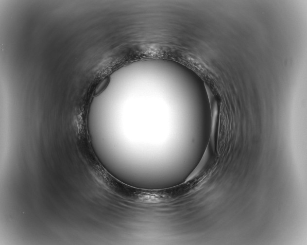 X0000086950611200704301219