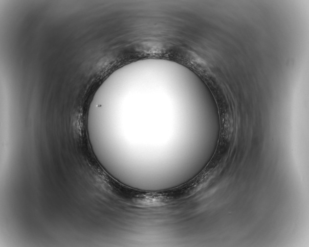 X0000086950612200704301219