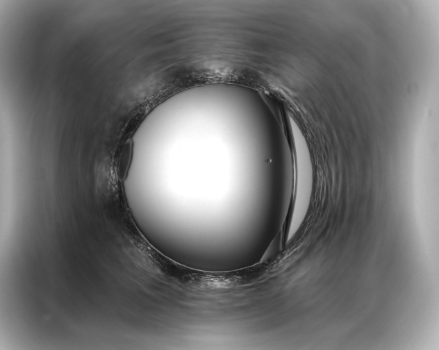 X0000086950613200704301219