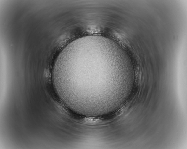 X0000086950614200704301219