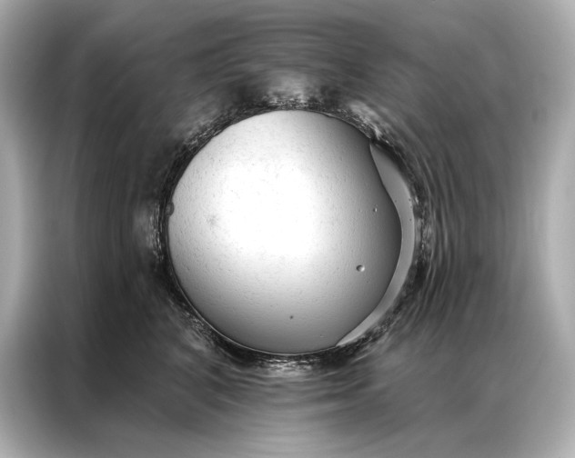 X0000086950616200704301219