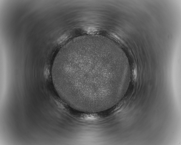 X0000086950618200704301219