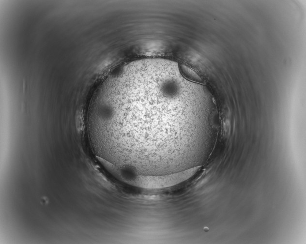 X0000086950620200704301219