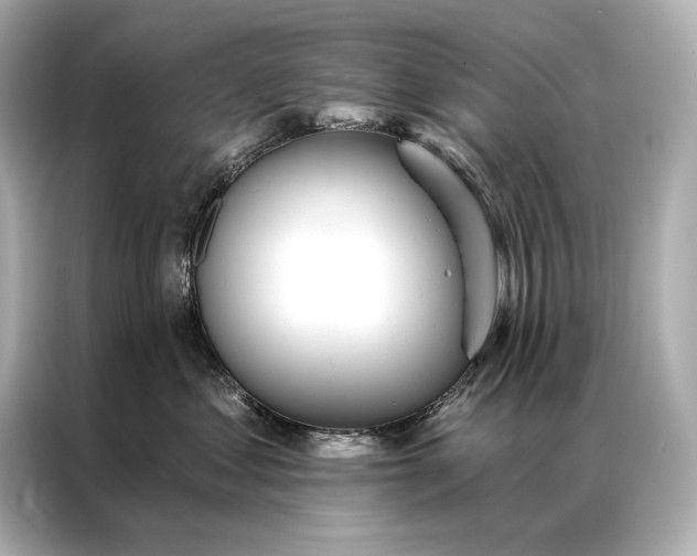 X0000086950621200704301219