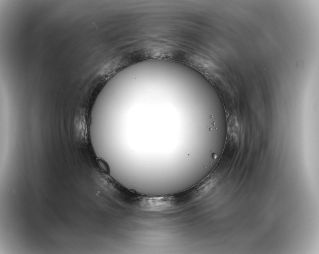 X0000086950622200704301219