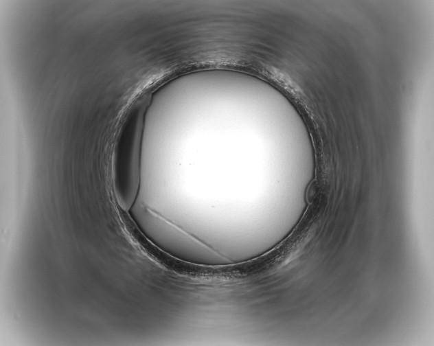 X0000086950625200704301218