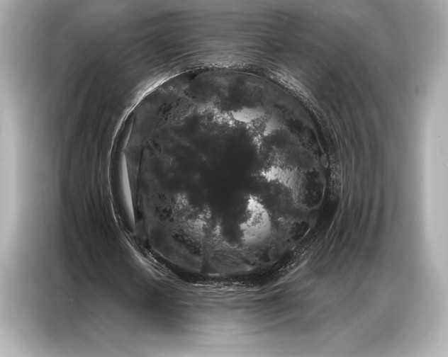 X0000086950626200704301218