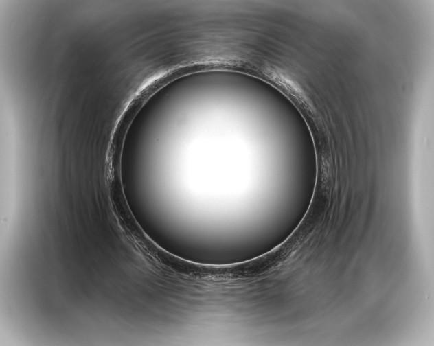 X0000086950628200704301218