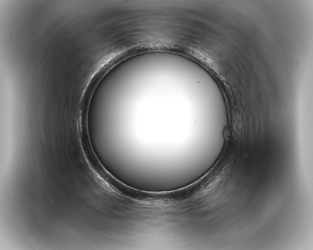 X0000086950629200704301218