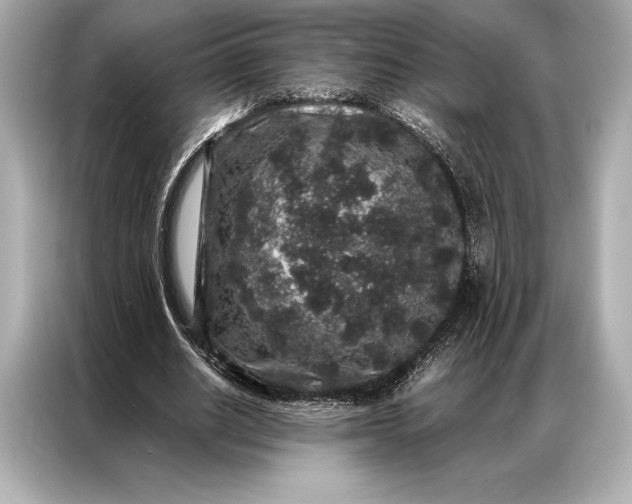 X0000086950630200704301218