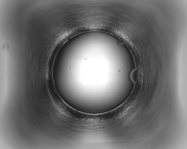 X0000086950631200704301218