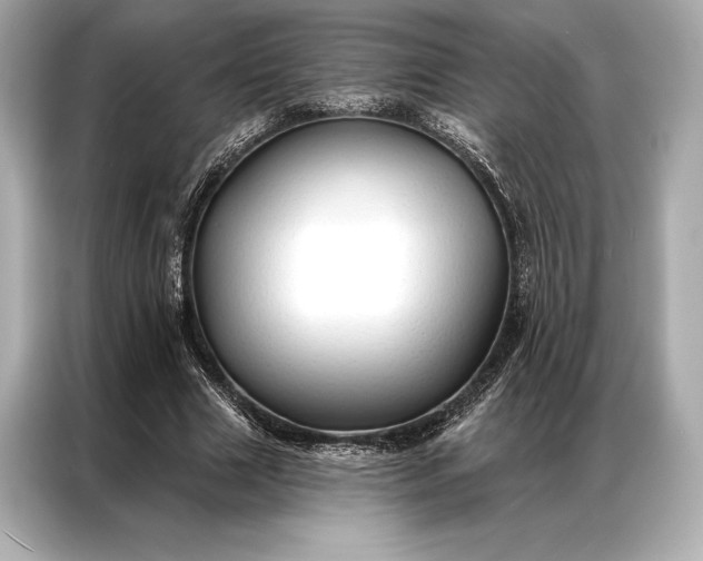 X0000086950633200704301218