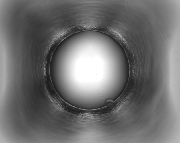 X0000086950635200704301218