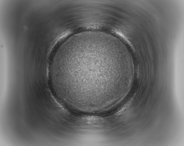 X0000086950637200704301218