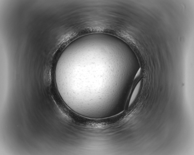 X0000086950638200704301218