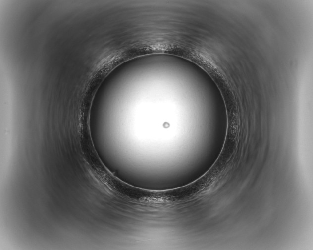 X0000086950639200704301218