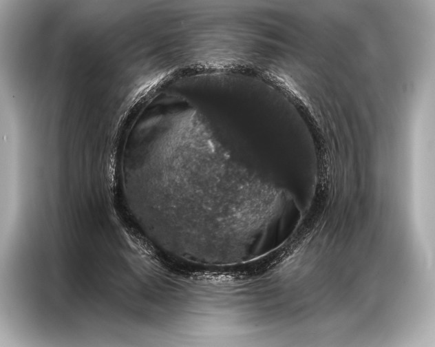 X0000086950640200704301218