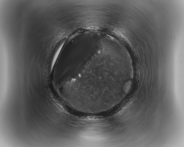 X0000086950641200704301218