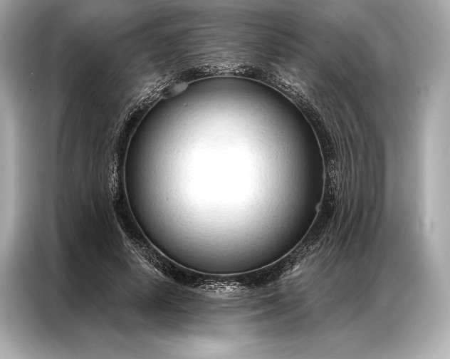 X0000086950642200704301218