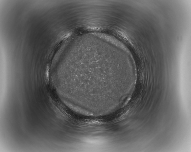 X0000086950643200704301218