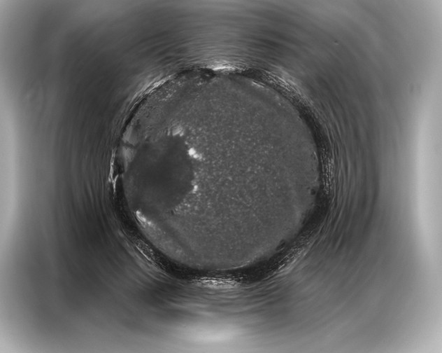 X0000086950644200704301218