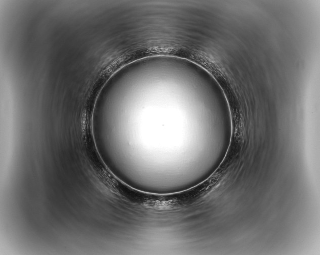 X0000086950647200704301218