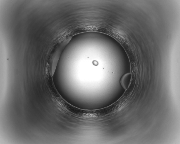 X0000086950649200704301218