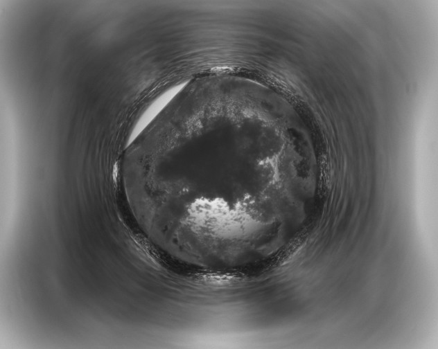 X0000086950650200704301218