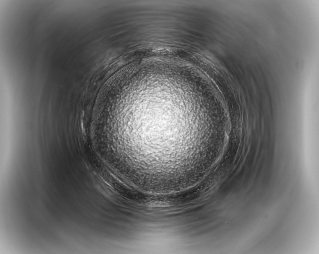 X0000086950653200704301218