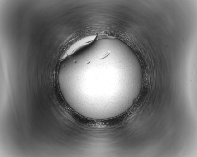 X0000086950656200704301218