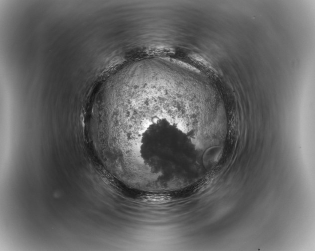 X0000086950659200704301218