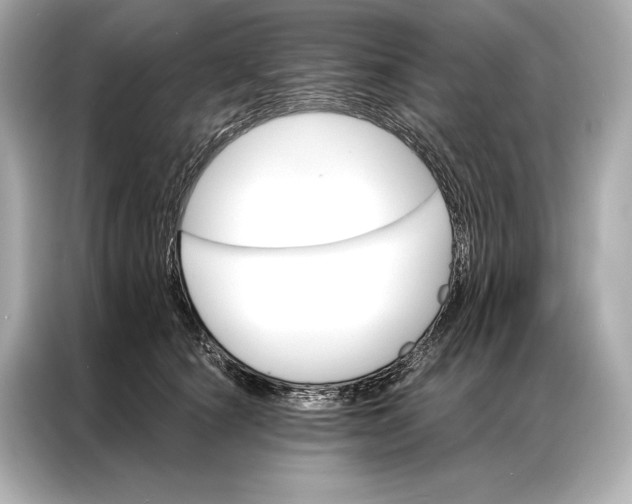 X0000086950660200704301218