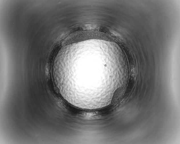 X0000086950662200704301219