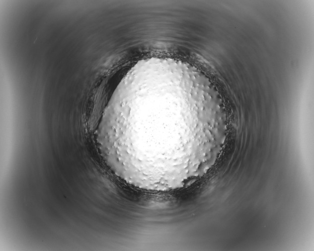 X0000086950663200704301219