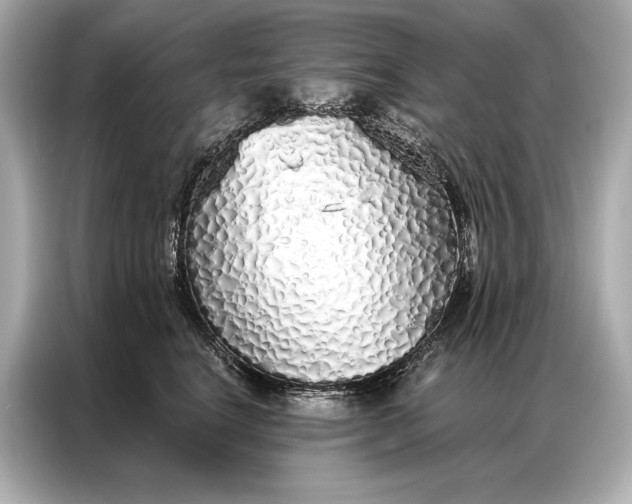 X0000086950664200704301219