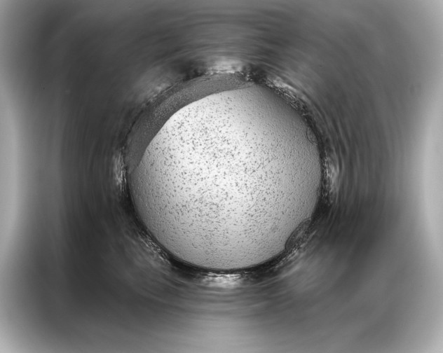 X0000086950665200704301219