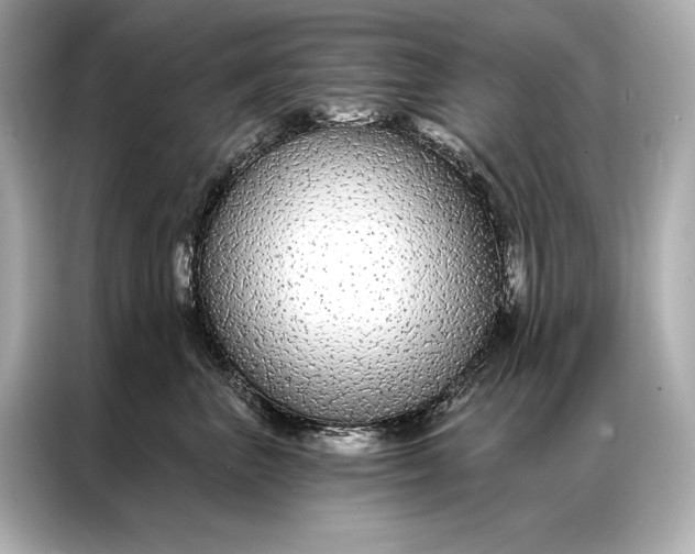 X0000086950667200704301219