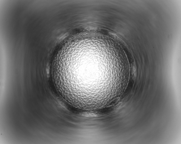 X0000086950668200704301219