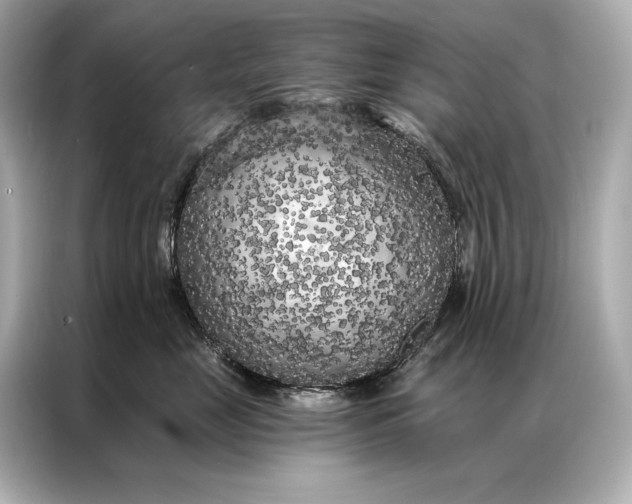 X0000086950669200704301219