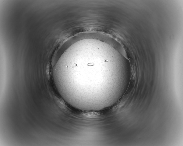 X0000086950670200704301219