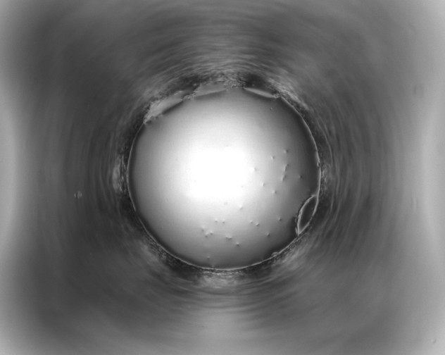 X0000086950671200704301219