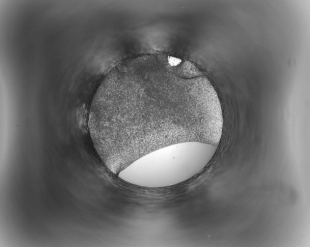 X0000086950672200704301219