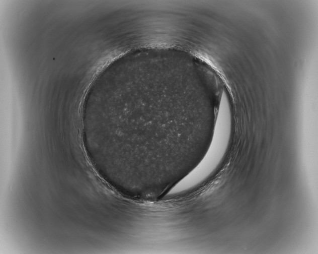 X0000086950673200704301218